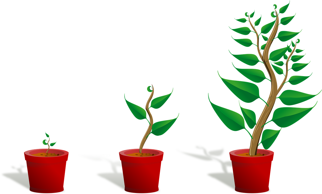 Perfectionisme loslaten